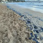 Andalucia * La Ciotat